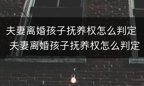夫妻离婚孩子抚养权怎么判定 夫妻离婚孩子抚养权怎么判定2023年