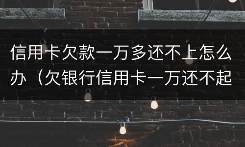 信用卡欠款一万多还不上怎么办（欠银行信用卡一万还不起怎么办）