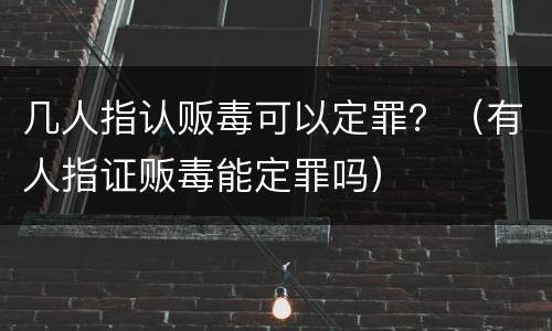 几人指认贩毒可以定罪？（有人指证贩毒能定罪吗）