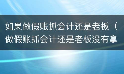 如果做假账抓会计还是老板（做假账抓会计还是老板没有拿到钱的情况下）