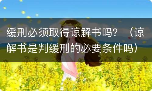 缓刑必须取得谅解书吗？（谅解书是判缓刑的必要条件吗）