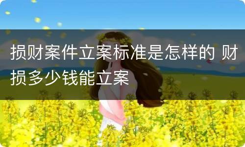 损财案件立案标准是怎样的 财损多少钱能立案