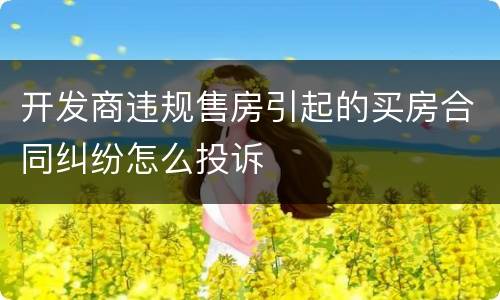 开发商违规售房引起的买房合同纠纷怎么投诉