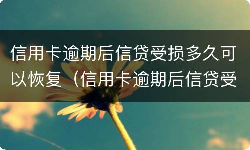 信用卡逾期后信贷受损多久可以恢复（信用卡逾期后信贷受损多久可以恢复使用）