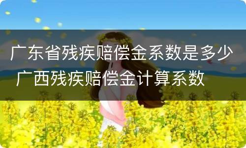 广东省残疾赔偿金系数是多少 广西残疾赔偿金计算系数