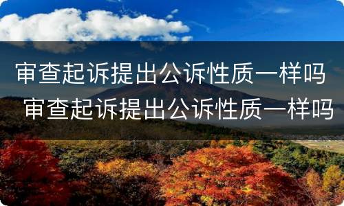 审查起诉提出公诉性质一样吗 审查起诉提出公诉性质一样吗怎么办