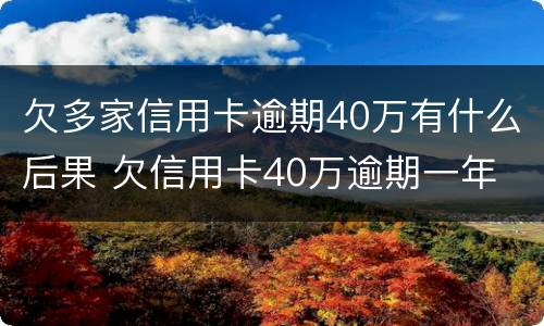 欠多家信用卡逾期40万有什么后果 欠信用卡40万逾期一年
