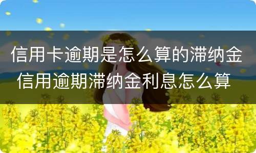 信用卡逾期是怎么算的滞纳金 信用逾期滞纳金利息怎么算