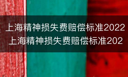 上海精神损失费赔偿标准2022 上海精神损失费赔偿标准2021