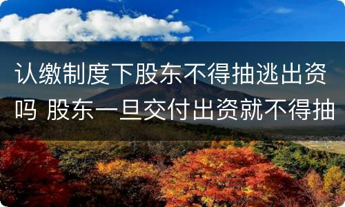 认缴制度下股东不得抽逃出资吗 股东一旦交付出资就不得抽逃出资