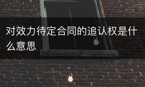 对效力待定合同的追认权是什么意思