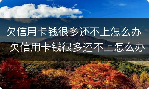 欠信用卡钱很多还不上怎么办 欠信用卡钱很多还不上怎么办呀