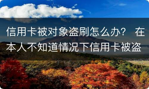 信用卡被对象盗刷怎么办？ 在本人不知道情况下信用卡被盗刷怎么办