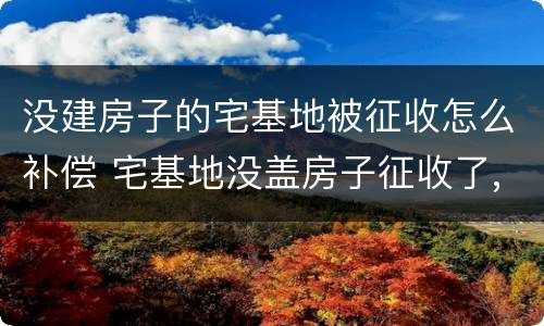 没建房子的宅基地被征收怎么补偿 宅基地没盖房子征收了,但是村里和政府都不给予补偿