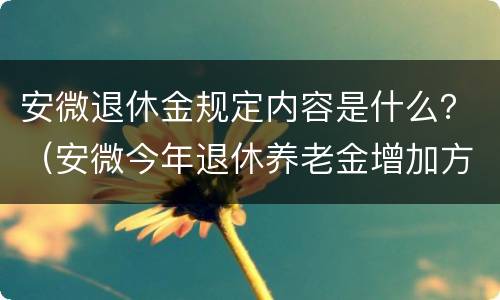 安微退休金规定内容是什么？（安微今年退休养老金增加方案）