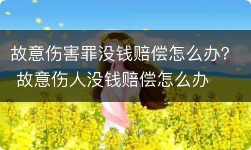 故意伤害罪没钱赔偿怎么办？ 故意伤人没钱赔偿怎么办