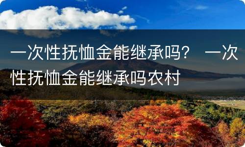 一次性抚恤金能继承吗？ 一次性抚恤金能继承吗农村