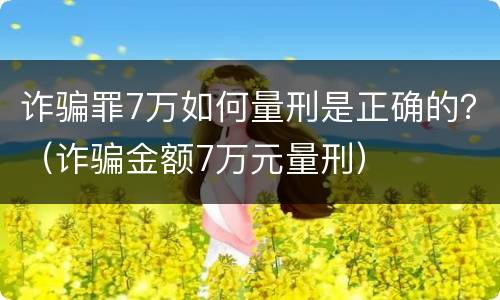 诈骗罪7万如何量刑是正确的？（诈骗金额7万元量刑）