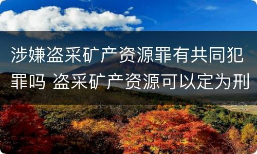 涉嫌盗采矿产资源罪有共同犯罪吗 盗采矿产资源可以定为刑事案件