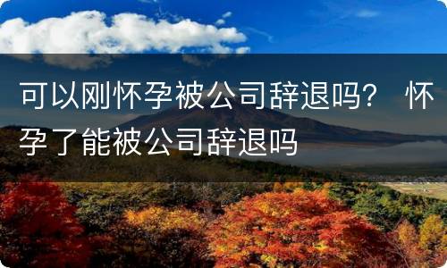 可以刚怀孕被公司辞退吗？ 怀孕了能被公司辞退吗