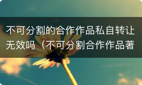 不可分割的合作作品私自转让无效吗（不可分割合作作品著作权）