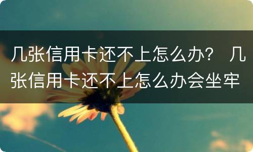 几张信用卡还不上怎么办？ 几张信用卡还不上怎么办会坐牢么
