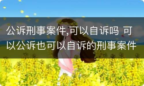 公诉刑事案件,可以自诉吗 可以公诉也可以自诉的刑事案件