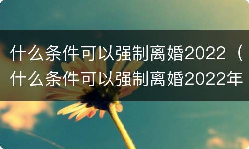 什么条件可以强制离婚2022（什么条件可以强制离婚2022年8月）