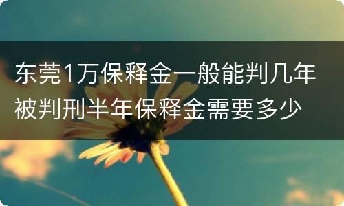 东莞1万保释金一般能判几年 被判刑半年保释金需要多少