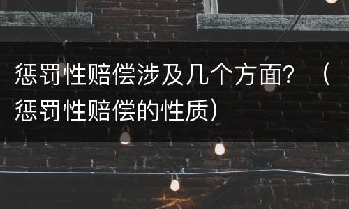 惩罚性赔偿涉及几个方面？（惩罚性赔偿的性质）