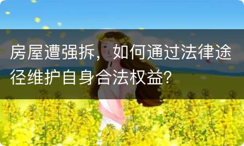 房屋遭强拆，如何通过法律途径维护自身合法权益？