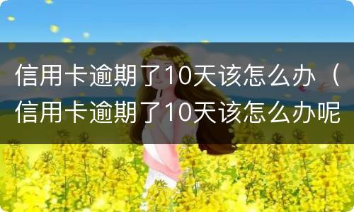 信用卡逾期了10天该怎么办（信用卡逾期了10天该怎么办呢）