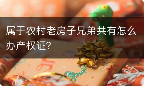 属于农村老房子兄弟共有怎么办产权证？