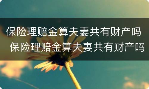 保险理赔金算夫妻共有财产吗 保险理赔金算夫妻共有财产吗
