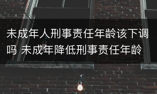 未成年人刑事责任年龄该下调吗 未成年降低刑事责任年龄