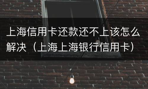 上海信用卡还款还不上该怎么解决（上海上海银行信用卡）