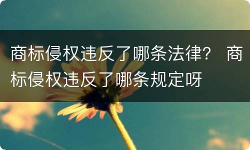 商标侵权违反了哪条法律？ 商标侵权违反了哪条规定呀