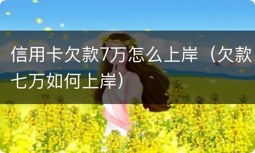 信用卡欠款7万怎么上岸（欠款七万如何上岸）