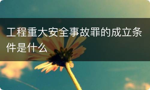 工程重大安全事故罪的成立条件是什么