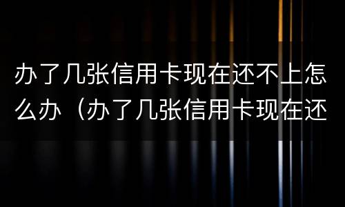办了几张信用卡现在还不上怎么办（办了几张信用卡现在还不上怎么办呢）