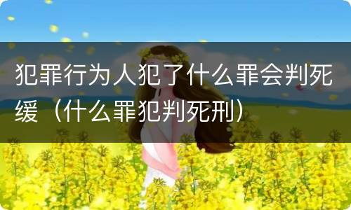 犯罪行为人犯了什么罪会判死缓（什么罪犯判死刑）