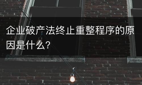 企业破产法终止重整程序的原因是什么？