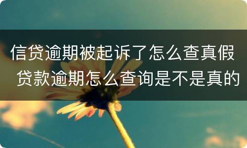 信贷逾期被起诉了怎么查真假 贷款逾期怎么查询是不是真的被起诉了