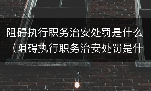 阻碍执行职务治安处罚是什么（阻碍执行职务治安处罚是什么罪）