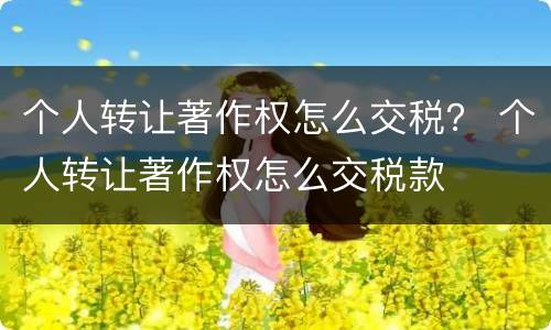 个人转让著作权怎么交税？ 个人转让著作权怎么交税款