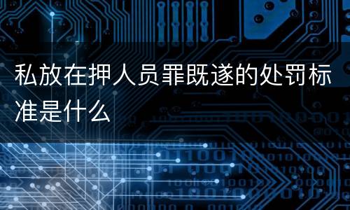 私放在押人员罪既遂的处罚标准是什么