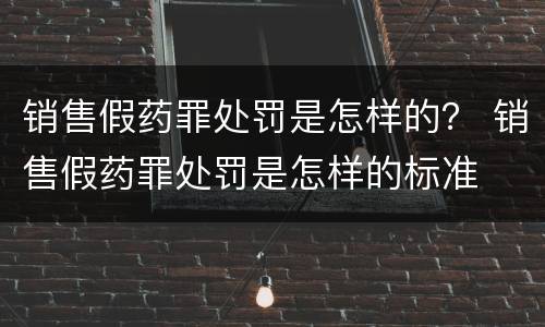 销售假药罪处罚是怎样的？ 销售假药罪处罚是怎样的标准