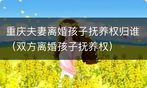 重庆夫妻离婚孩子抚养权归谁（双方离婚孩子抚养权）