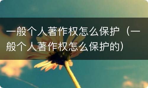 一般个人著作权怎么保护（一般个人著作权怎么保护的）