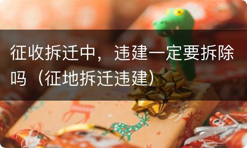 征收拆迁中，违建一定要拆除吗（征地拆迁违建）
